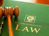 Insolvency and Bankruptcy Laws Services: Expert Guidance for Financial Recovery