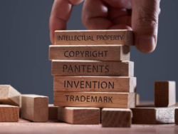 Property Laws