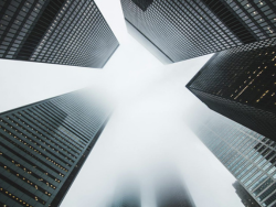 Start-up Advisory Services