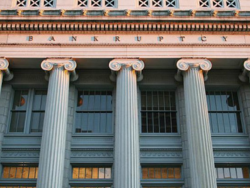 Insolvency and Bankruptcy Laws